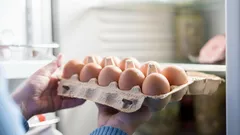 Je možné nechávať vajcia vo dvierkach chladničky: hlavné chyby pri skladovaní vajec