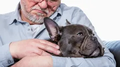 Pokojné a oddané: 5 plemien psov, ktoré zohrievajú srdcia seniorov