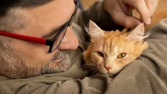 Mačka sa pritúli nie kvôli maznaniu: signál, ktorý majitelia často prehliadajú