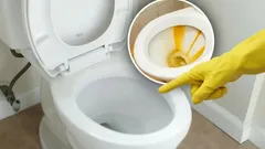 Vodný kameň v toalete zmizne bez stopy: Hoďte do záchoda tabletku, ktorú má doma každý