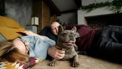 Od špičky nosa po koniec chvosta: Ako porozumieť reči tela vášho psa