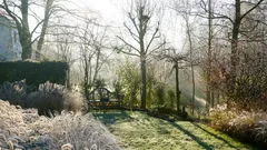 Mali by ste polievať trávnik v zime? Odpovede odborníkov