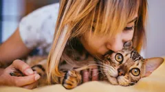 Mačka vás ľúbi, ale mlčí: 10 gest, ktoré ste si možno nevšimli