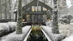 Ako chrániť záhradné rastliny pred zimnými spálami – rady záhradníka