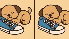 Hlavolam: Nájdete 3 rozdiely na obrázku so šteniatkom za 51 sekúnd?