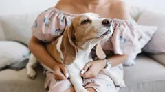 Psia láska je zložitejšia, než sa zdá: Prejavy, ktoré povedia viac než tisíc slov