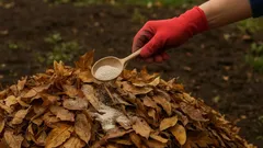 Stačia len 3 lyžice – listy sa premenia na zlato: lacné hnojivo, ktoré nahradí hnoj