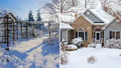 Čo treba urobiť v záhrade v januári: 7 rád od kráľovského záhradníka