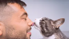 Tajomstvá mačacej nehy: Prečo mačky olizujú majiteľom hlavu