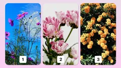 Psychologický test: Vyberte si kvet a zistite svoj hlavný talent