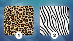 Srdce alebo rozum: vyberte si vzor a zistite, čo vás v skutočnosti riadi